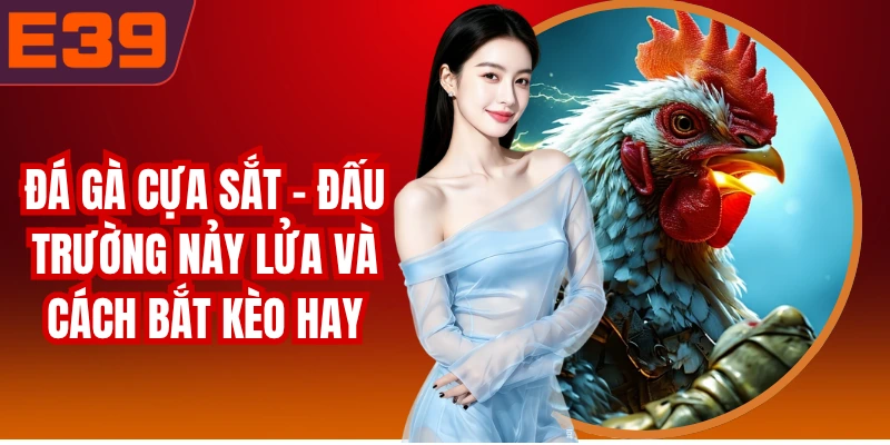 Đá Gà Cựa Sắt - Đấu Trường Nảy Lửa Và Cách Bắt Kèo Hay